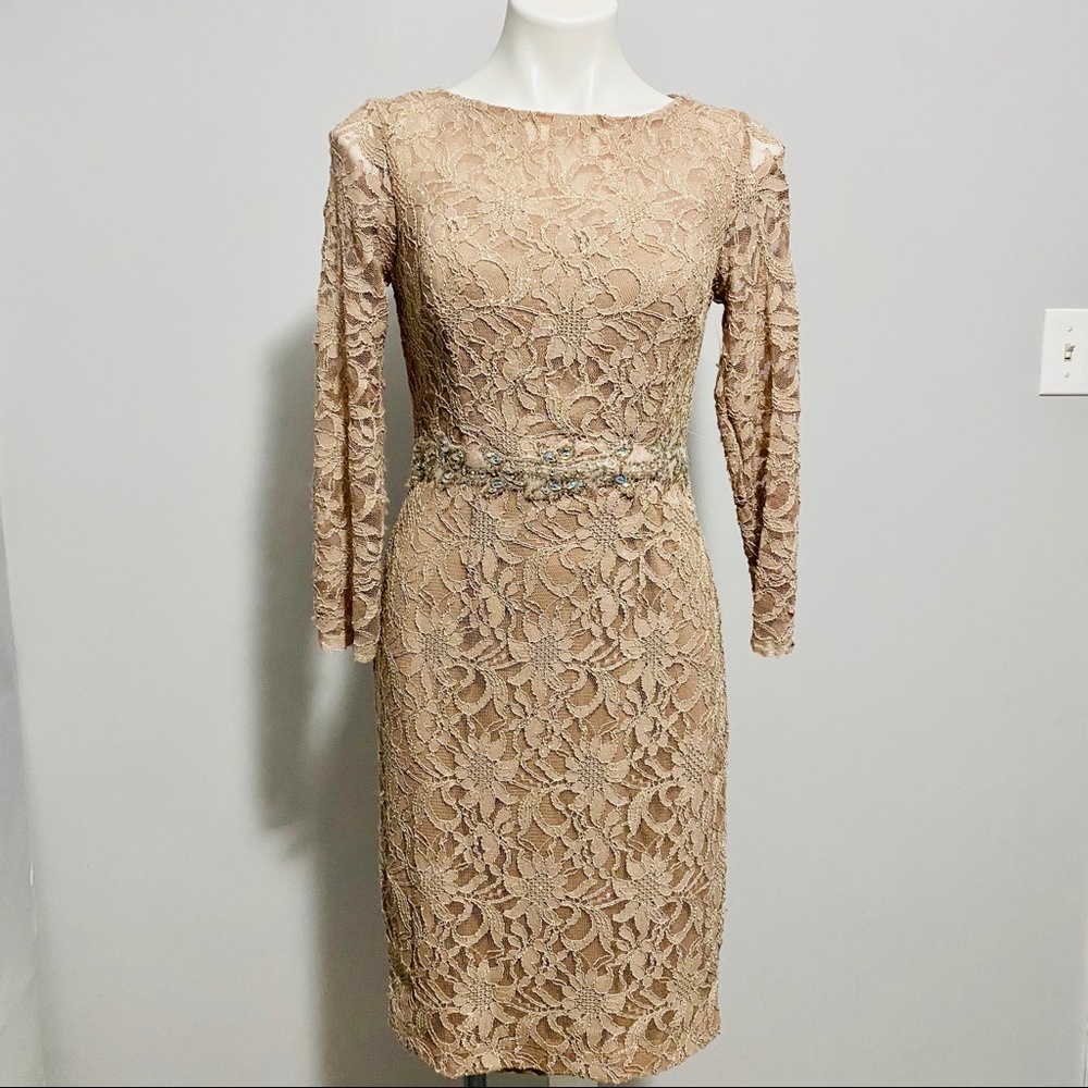 Jackie Jon New York Gorgeous Flowery Lace Christmas Dress